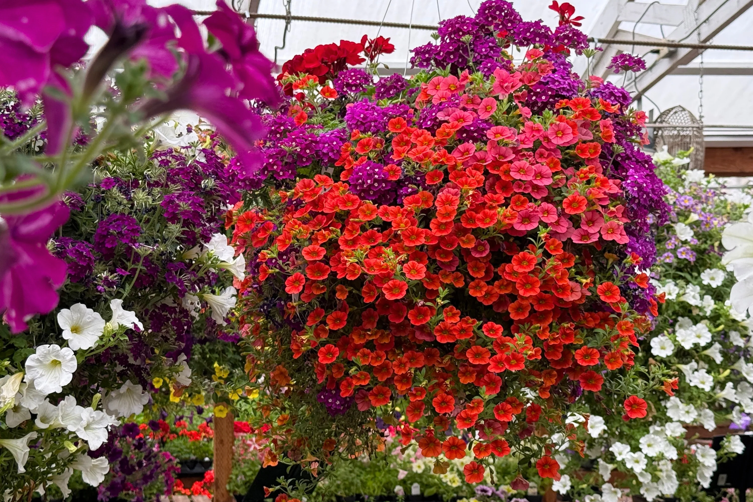 Bring Your Dream Garden Home